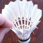 Fluturas de badminton (badminton shuttlecock)