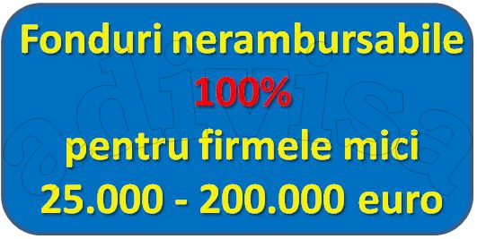 200.000 de euro nerambursabili 100%, pentru firmele mici