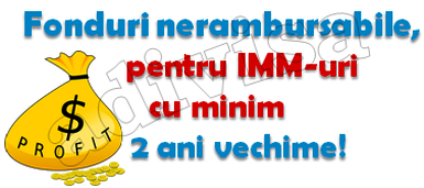 Finanțare nerambursabilă de la stat, pentru firmele cu minim 2 ani vechime