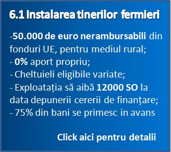 61 Instalarea tinerilor fermieri