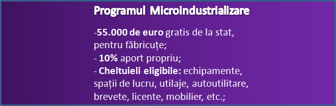 Microindustrilizare