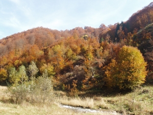 Superb peisaj de toamnă, la Taia                        