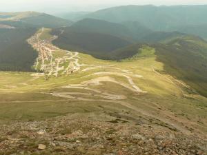 Transalpina                                                                       